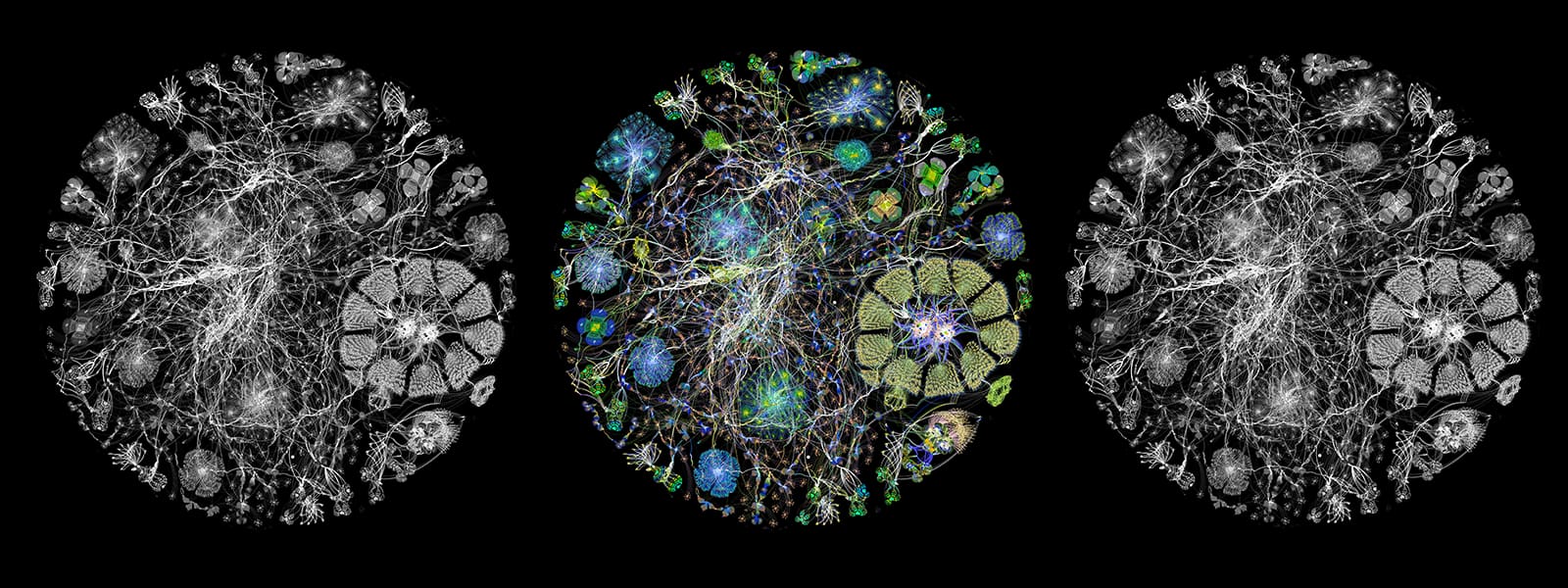 AI Research Directions in 2021_blogheader AI Research Directions in 2021_blogheader
