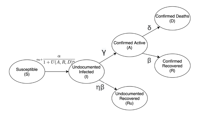 Figure 1 Covid 19 Transmission Model