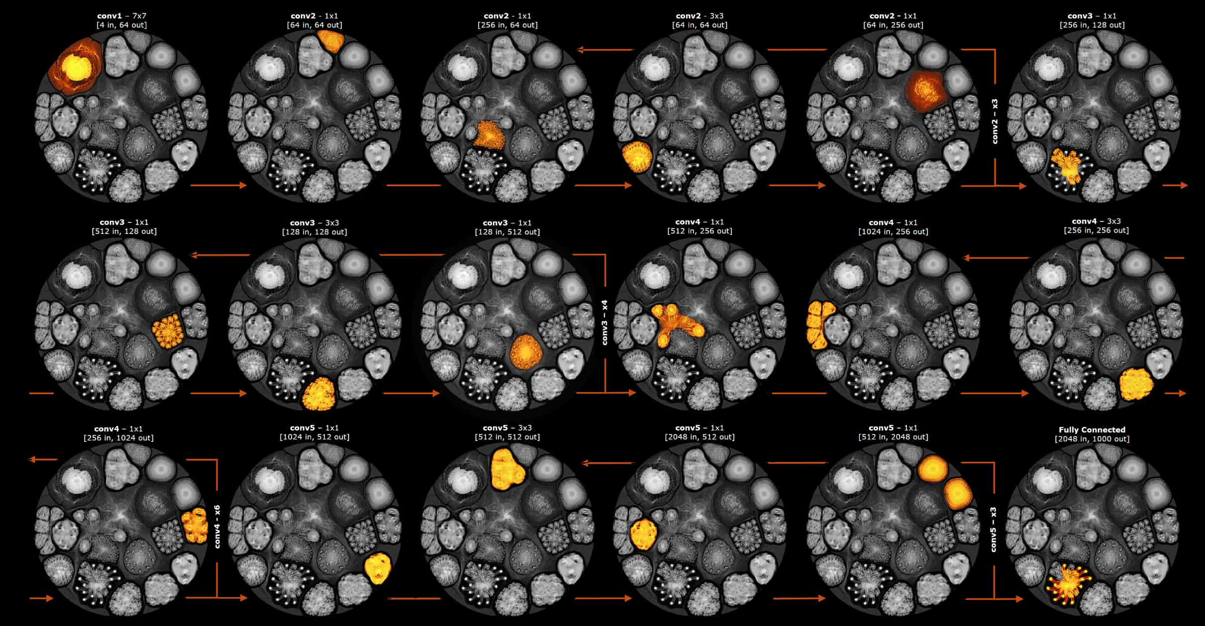 large models_phased execution