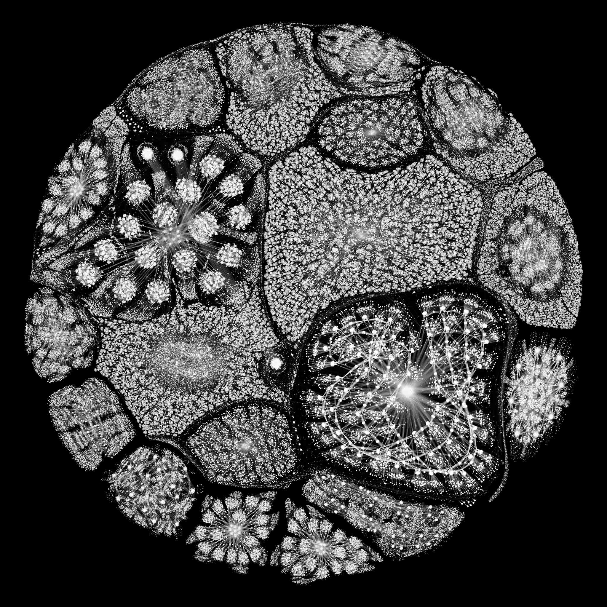 Microsoft sends a new kind of AI processor into the cloud