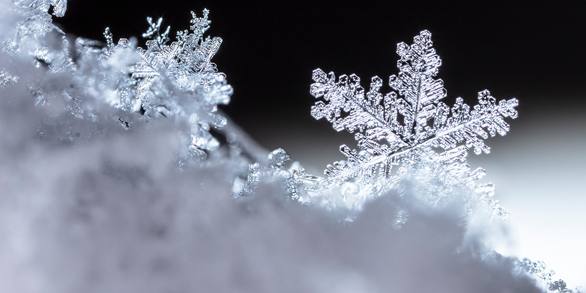 Do neural networks dream of falling snow? Do neural networks dream of falling snow?